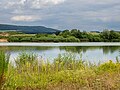 * Nomination Quarry pond in the Büg nature reserve near Eggolsheim --Ermell 04:18, 24 June 2024 (UTC) * Promotion  Support Good quality.--Famberhorst 04:23, 24 June 2024 (UTC)