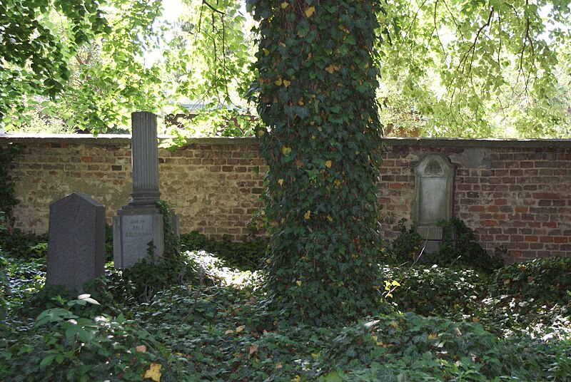 File:New Jewish cemetery in Libeň 39.JPG