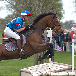 Nicolas touzaint hidalgo de lile lancer village badminton 2008.jpg