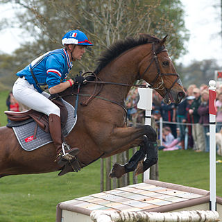 <span class="mw-page-title-main">Nicolas Touzaint</span> French equestrian