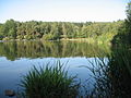 Fiŝlago Bařina