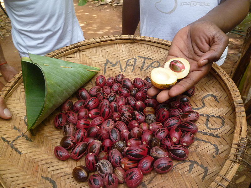 File:Noix de muscade fraiche.JPG