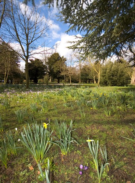 File:Oaks Park, Carshalton, London Borough of Sutton - geograph.org.uk - 625765.jpg