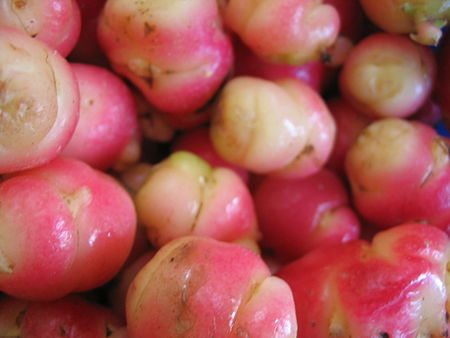 Tập_tin:Oca.jpg