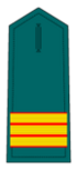 Guardia Zibila