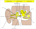 Munud eus stumm an 17 Gou 2007 da 16:42