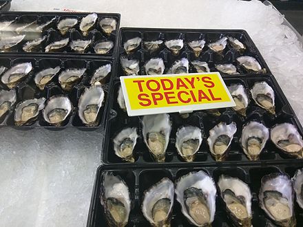 Oysters at Sydney Fish Market