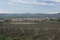 Panorama di Gibellina Nuova.JPG
