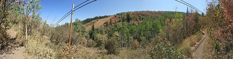 File:Park City Mountain Resort Armstrong Trail Panorama.jpg