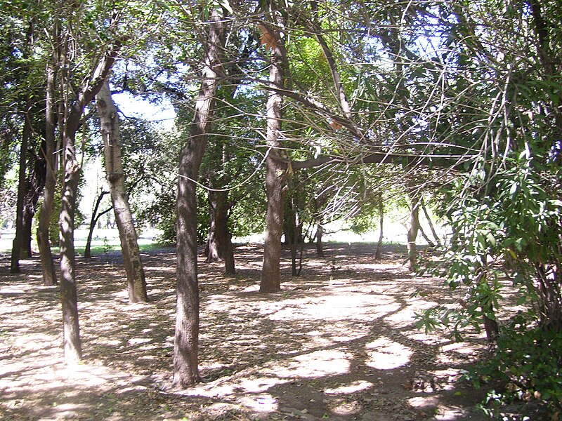 File:Parque - panoramio.jpg