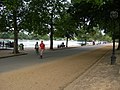Path by the Serpentine