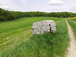 Havainnollinen kuva artikkelista Pierre des Altels