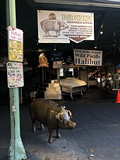 The statue in 2019 PikePlacePigWithSign.jpg