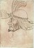 Pisanello - Codice Vallardi 2622.jpg