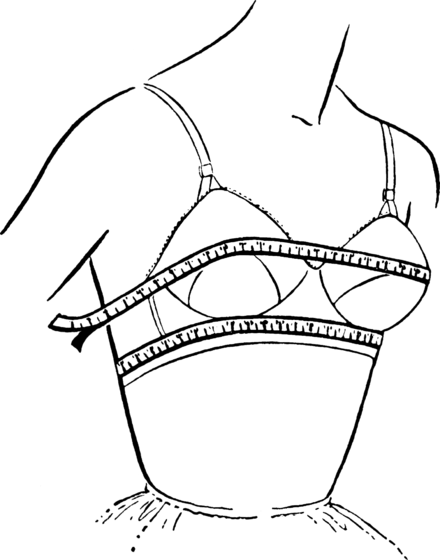 39 bust bra size