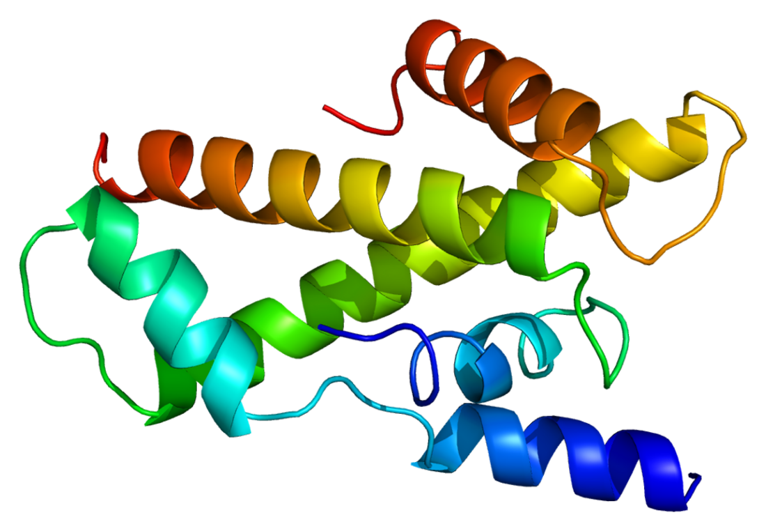 File:Protein TAF13 PDB 1bh8.png