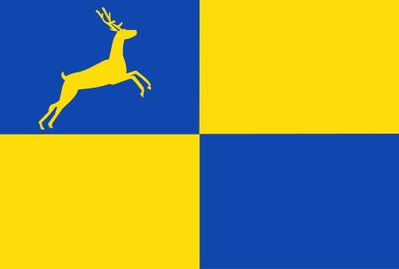 Putten vlag