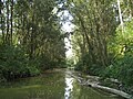 Il fiume Montone