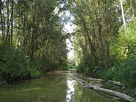 Río Montone (Italia)