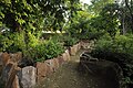 Larger native plant seedlings stacked in the nursery