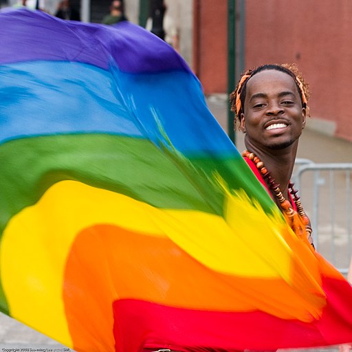 Rainbow Flag Gay Pride New York 2008