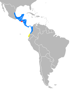 Distribuição geográfica da anta-de-baird, em azul. O vermelho representa El Salvador, onde está extinta. O amarelo representa o Equador, onde sua presença não é confirmada.