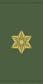 Rank insignia of brigadegeneral of the Royal Danish Army