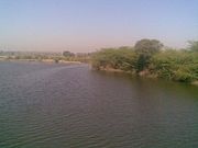 This is Pond of village of Rithal, in local language we call it "JOHAD" the name of this Pond is "DITHHYA".