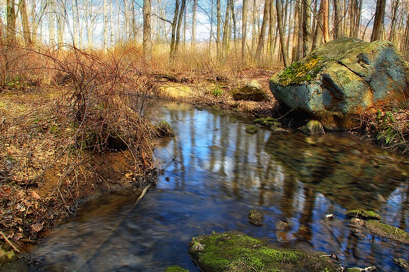 File:Ruth Zimmerman Natural Area (Revisited) (2) (8607504194).jpg