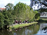 Vouga River