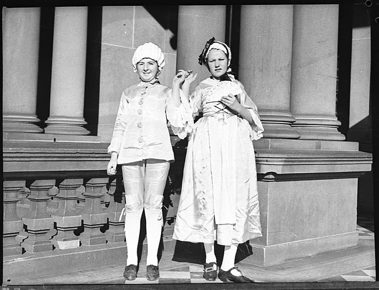 File:SLNSW 23638 Red Cross fete at Town Hall.jpg