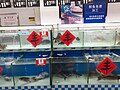 SZ 深圳市 Shenzhen 福田區 Futian 人人樂百貨超市 Ren Ren Le Department Store fresh live fish seafood goods October 2019 SS2 08.jpg