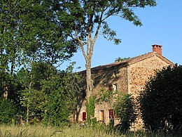 Saint-Genès-la-Tourette - Vue