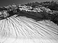 Sandstone near Yellow Rock (3684296517).jpg