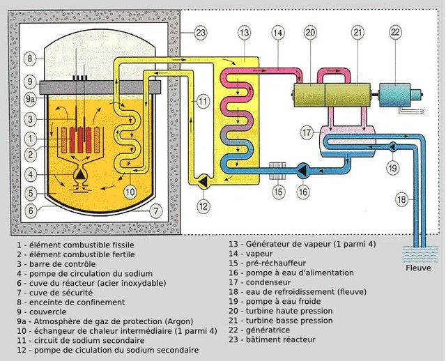 description d'un réacteur à neutrons rapides caloporteur sodium