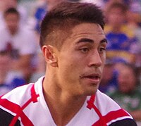 Shaun Johnson 2013 (bijgesneden) .jpg