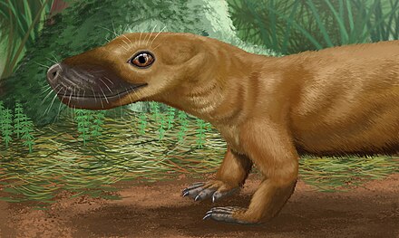 Первый зверь. Терапсиды Триасового периода. Ulemosaurus. Млекопитающие Пермского периода. Первые млекопитающие Пермский период.