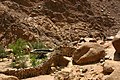 Sinai-Trekking-254-Beduinengarten-2009-gje.jpg
