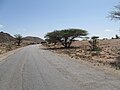 Somalia (Somaliland)(078).jpg