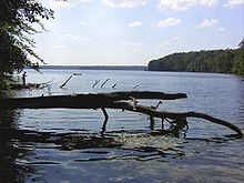 Lake Stechlin, Germany, received coolant discharge from the nuclear power plant Rheinsberg starting in the 1960s. The plant was operational for 24 years, closing in June 1990. Stechlinsee.jpg