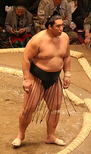 Sumo May09 Homasho.jpg