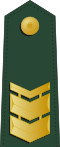 Taiwan-army-OR-7.svg