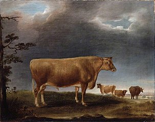 A Horned Cow in a Landscape, with others