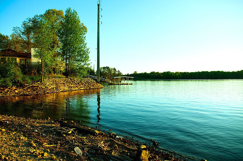 File:Tims-Ford-Lake-Winchester-shore-tn1.jpg