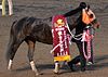 東京大賞典2014年60回目はホッコータルマエが制し最優秀ダートホースとして認められる。幸騎手と西浦調教師は更なる高みを目指す。より (CC BY-SA 4.0)