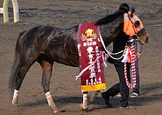 東京大賞典: 概要, 歴史, 歴代優勝馬