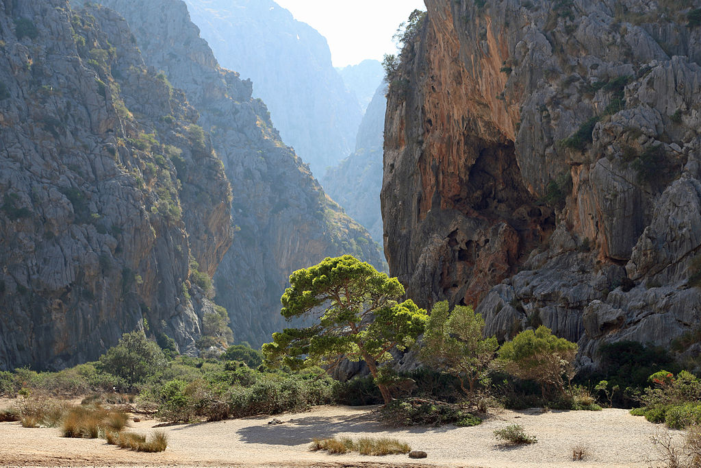 Torrent de Pareis R01