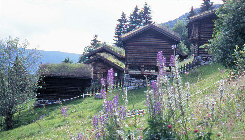 File:Torvtak Ål i Hallingdal.jpg