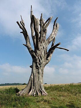 Tree at Dyrham Park