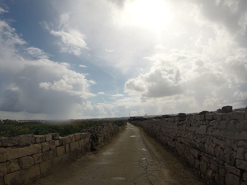 File:Triq IL-Buskett, Ħaż-Żebbuġ, Malta - panoramio (36).jpg